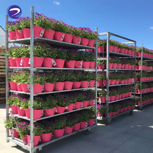 Greenhouse Nursery Cart