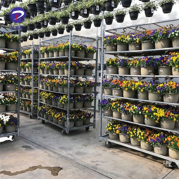 Greenhouse Galvanized Flower Carts