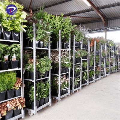 花の授乳トロリー