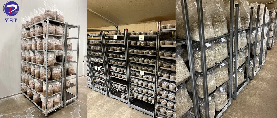 Danish trolley-3 Danish trolley-3